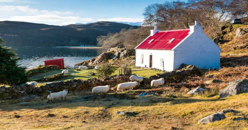 Tesla Erlebnis Schottland